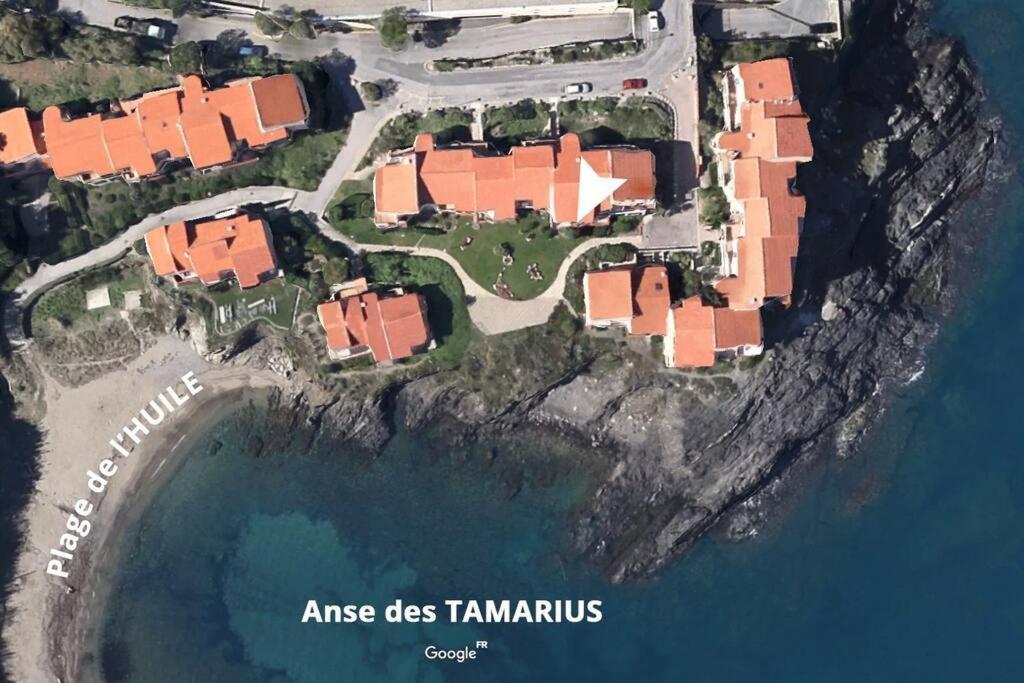 Collioure Appart En Bord De Mer Plage A 50M Clim Garage Location Du Samedi Au Samedi Esterno foto